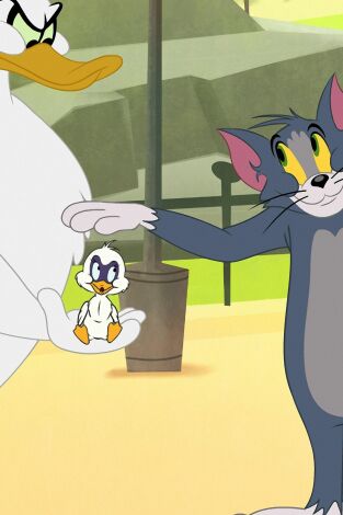 Tom y Jerry en Nueva York. T(T1). Tom y Jerry en... (T1): Ponle el anillo / Ven a volar conmigo / La crisis del chicle / Mascarada