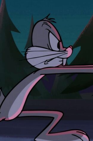 New Looney Tunes, Season 1. T(T1). New Looney Tunes,... (T1): Orejas, ¿para qué os quiero? / Callejones de fuego