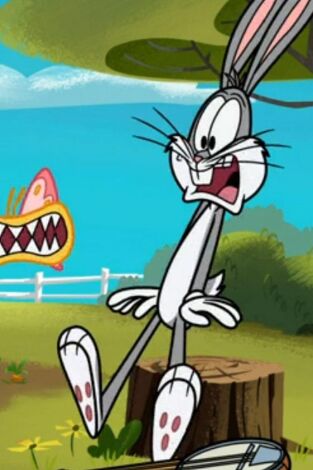 New Looney Tunes, Season 2. T(T2). New Looney Tunes,... (T2): Un comezanahorias en busca de dibujante / 'Atrapato' en el tiempo