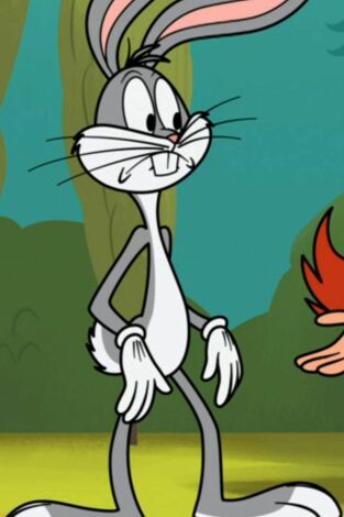 New Looney Tunes. T(T3). New Looney Tunes (T3): Descubriendo el Polo Norte / Un nuevo Sam