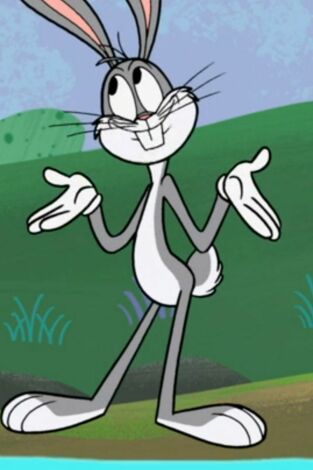 New Looney Tunes, Season 3. T(T3). New Looney Tunes,... (T3): Cristóbal Molón / La piel de Porky