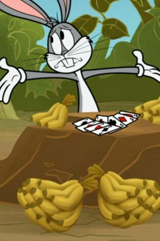 New Looney Tunes, Season 3. T(T3). New Looney Tunes,... (T3): El pantano y su circunstancia / Qué safari más guay