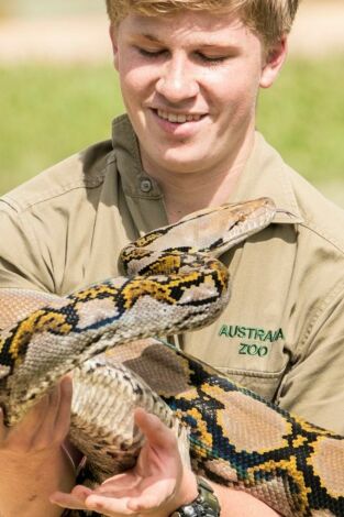 The Irwins. T(T2). The Irwins (T2): Robert nada con una serpiente pitón