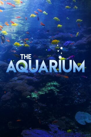 The Aquarium. T(T1). The Aquarium (T1): Ep.10