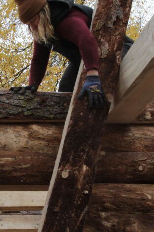 Sobrevivir en lo salvaje: el rancho Raney. Sobrevivir en lo...: Escalera al cielo