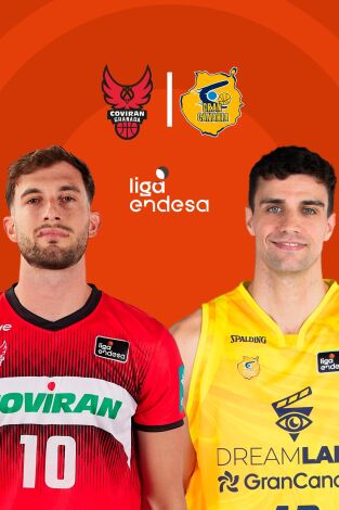 Jornada 15. Jornada 15: Coviran Granada - Dreamland Gran Canaria