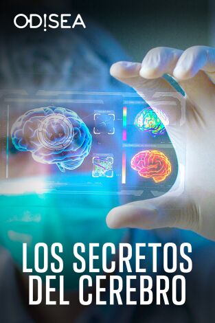 Los secretos del cerebro