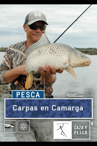 Carpas en  Camarga