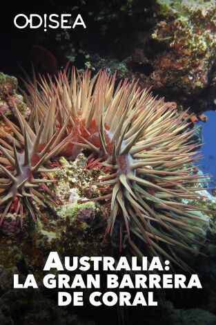 Australia: La Gran Barrera de Coral en peligro