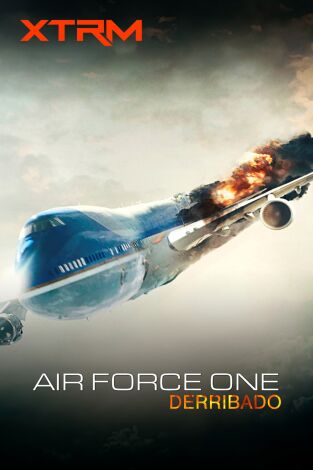 Air Force One derribado