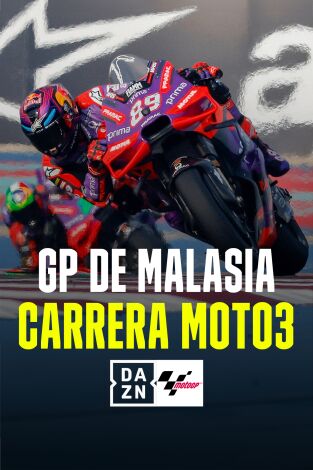 GP de Malasia. GP de Malasia: Carrera Moto3