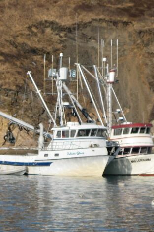 Bristol Bay Brawl. Bristol Bay Brawl