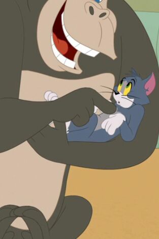 El Show de Tom y Jerry. T(T5). El Show de Tom y... (T5): Un gorila para Tom y Jerry