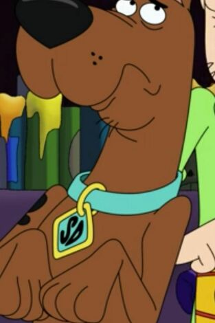 ¡Enróllate Scooby-Doo!. T(T1). ¡Enróllate... (T1): El Bandito