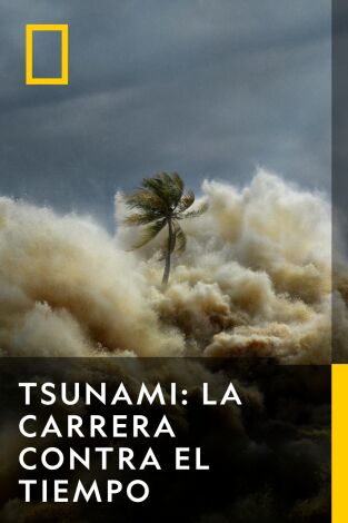 Tsunami: La carrera contra el tiempo