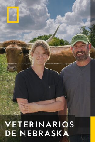 Veterinarios de Nebraska. Veterinarios de Nebraska: Cuando los conejitos de indias vuelen