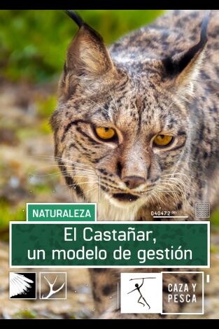 El Castañar. Un modelo de gestión