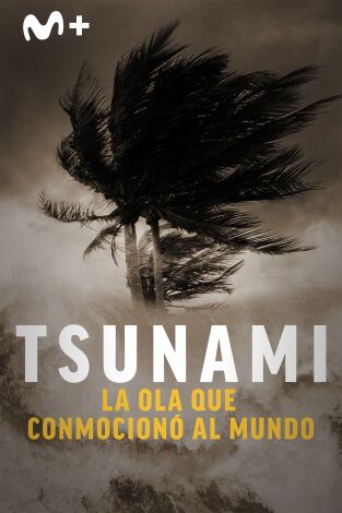 Tsunami: la ola que conmocionó al mundo