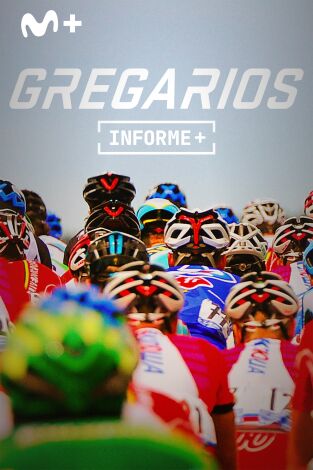 Informe Plus+. Gregarios. Ganar perdiendo