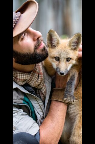 Coyote Peterson en lo salvaje. Coyote Peterson en lo...: Tiburones en las sombras