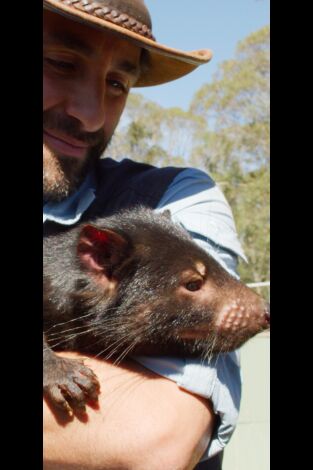 Coyote Peterson en lo salvaje. Coyote Peterson en lo...: Cena con un diablo