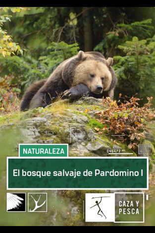 El bosque salvaje de Pardomino. El bosque salvaje de Pardomino 