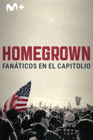 Homegrown: fanáticos en el Capitolio