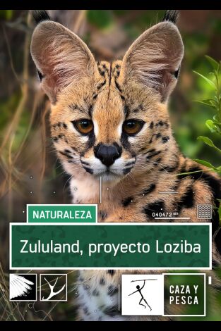 Zulú Land Proyecto Loziba