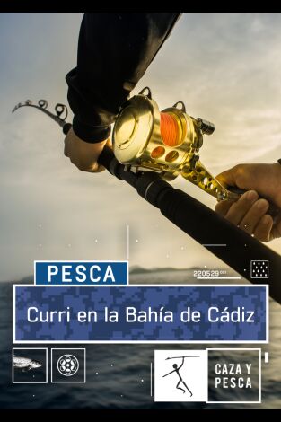 Curri en la bahía de Cádiz