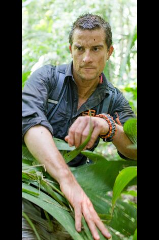 Escapar del infierno con Bear Grylls. T(T1). Escapar del... (T1): Selva