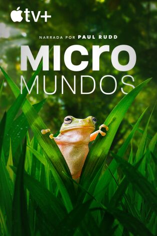 Micromundos