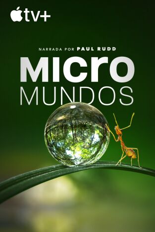 Micromundos. Micromundos 