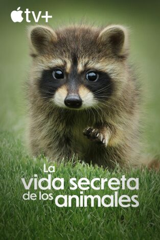 La vida secreta de los animales