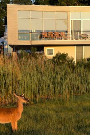 Casas vanguardistas. Casas vanguardistas: Long Island: Sag Harbor