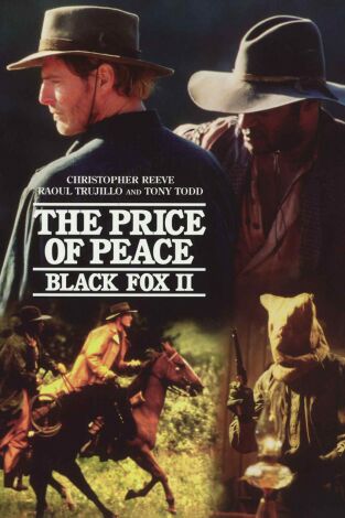 Zorro negro: El precio de la paz