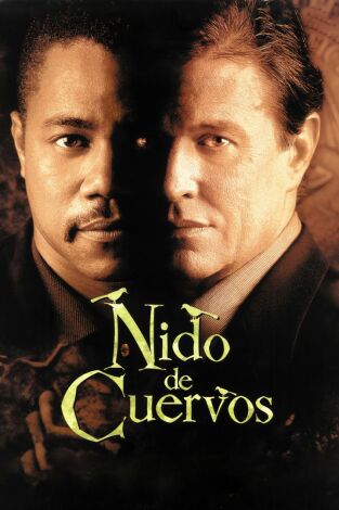 Nido de cuervos