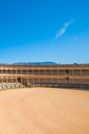 Toros. T(T2024). Toros (T2024): Desde Jaén