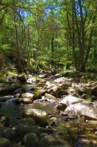 Parques naturales