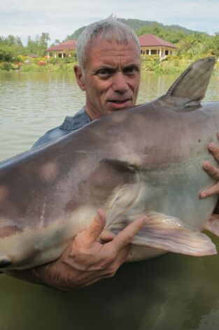 Monstruos de río. Monstruos de río: ¿Tiburón o cocodrilo?