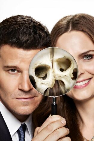 Bones. T(T8). Bones (T8): Ep.16 El amigo necesitado