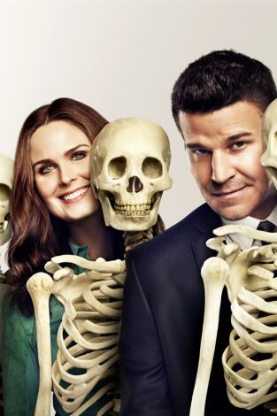 Bones. T(T10). Bones (T10): Ep.11 La vidente en la sopa