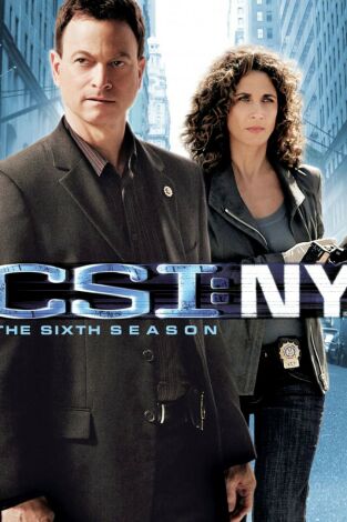 C.S.I. Nueva York. T(T6). C.S.I. Nueva York (T6): Ep.6 Me ha ocurrido a mí