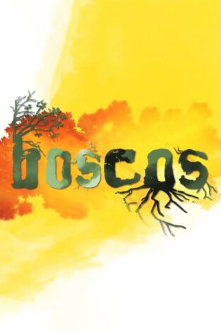 Poster de la película Boscos: Boscos de Pi Roig (Cadí) - Películas hoy en TV