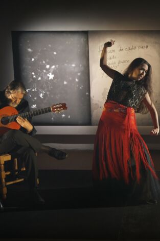 Rafael Riqueni ser flamenco