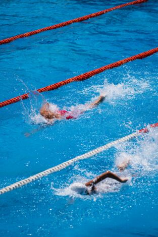 Reportajes TDP - Natación