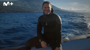 Ballenas con Steve Backshall. Ballenas con Steve...: Viajeras