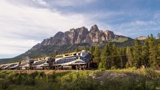 Viajes alucinantes en tren. Viajes alucinantes en...: Sudáfrica