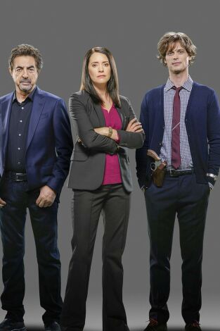 Mentes criminales. T(T12). Mentes criminales (T12): Ep.7 Imagen en espejo