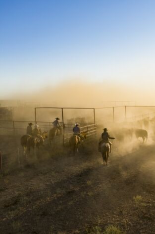 Descubriendo Texas: el estado de la estrella solitaria. Descubriendo Texas: el...: Cowboys y delfines