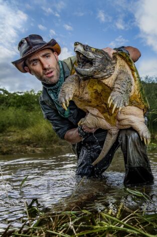 Coyote Peterson en lo salvaje. Coyote Peterson en lo...: Una serpiente pitón colosal